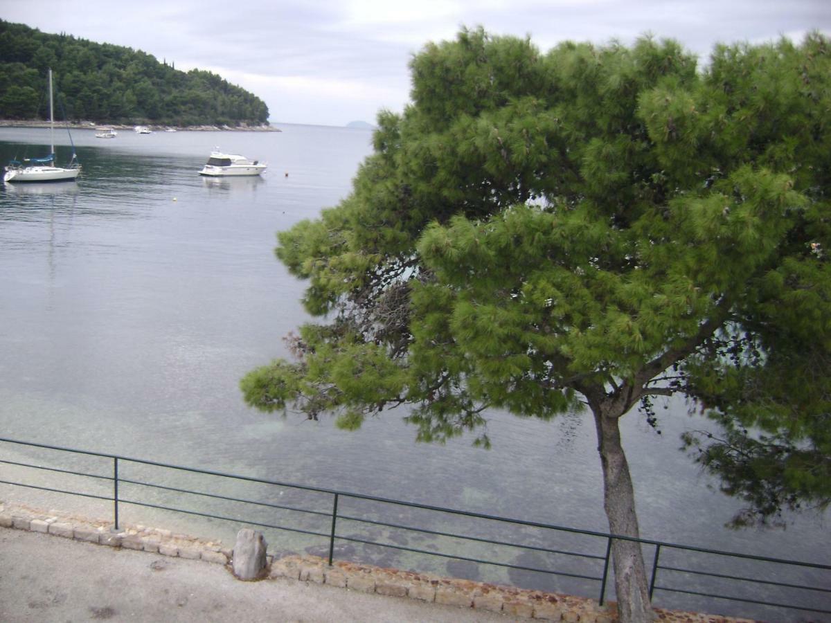 Apartment Andriuci Cavtat Kültér fotó